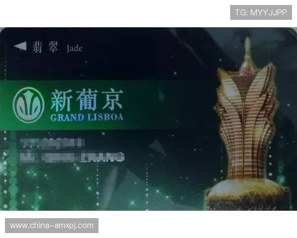 澳门新葡京手机官方地址官方入口安全指南,帮助玩家识别正规入口避免账号被盗风险