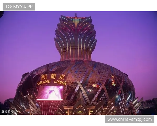 澳门新葡京网站评价详尽分析，助你全面了解平台优势与不足
